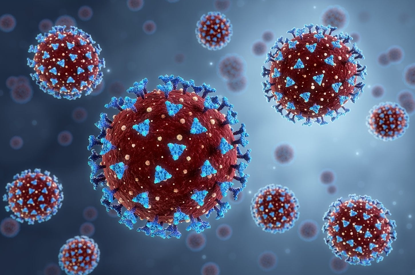 SARS-CoV-2 tien hoa anh 2