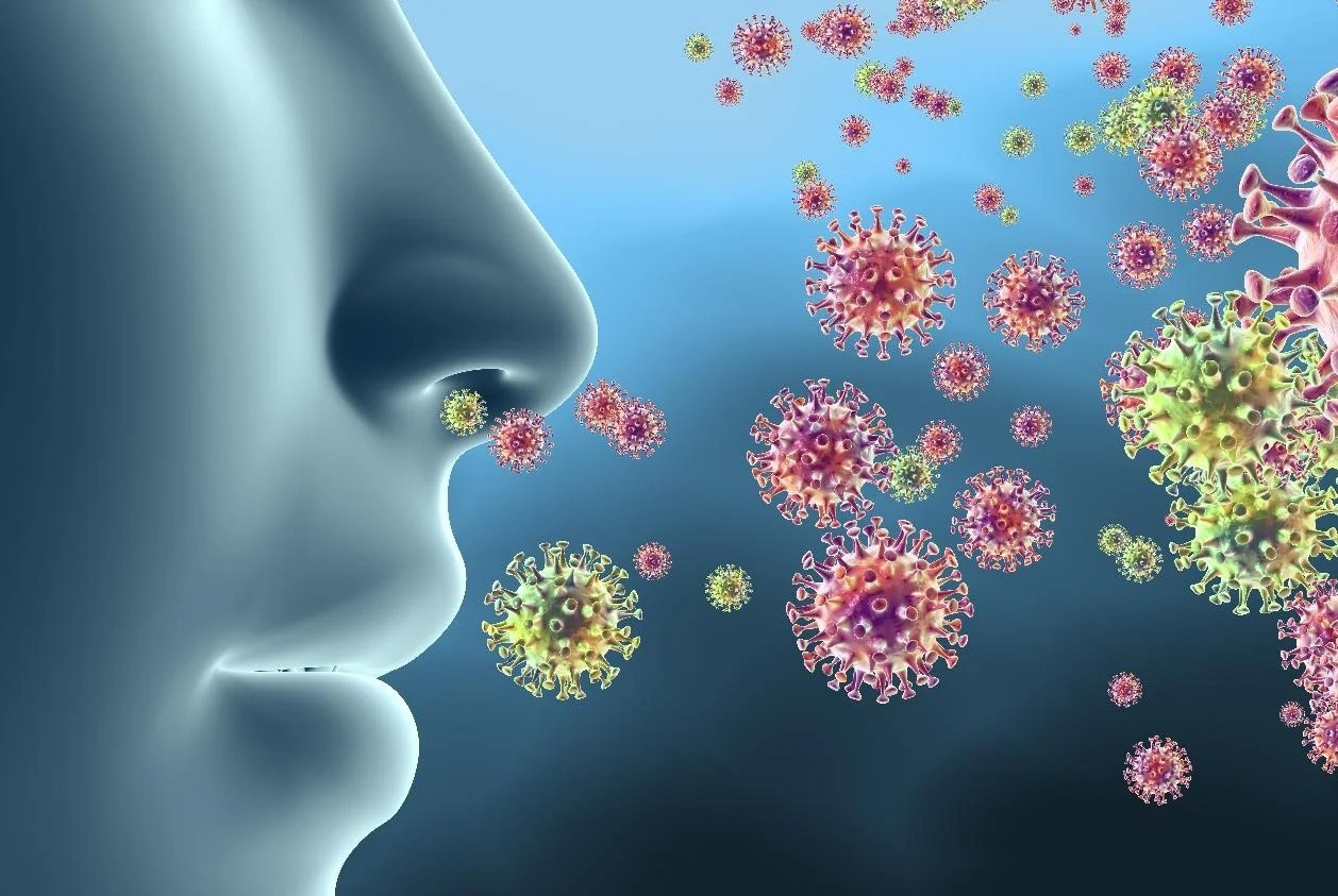 Cach chua mat mui do Covid-19 hinh anh