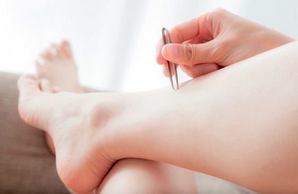 Triet long vinh vien anh 2