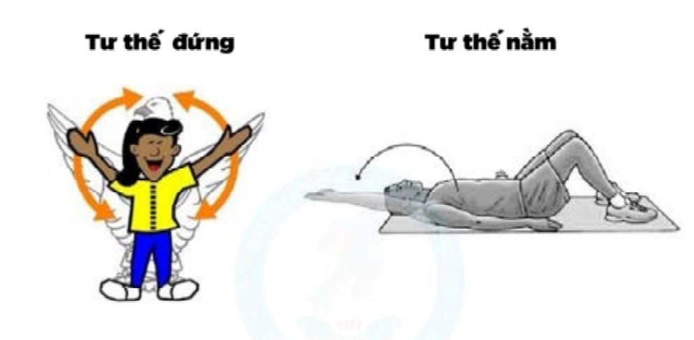 Tap tho phuc hoi phoi anh 2