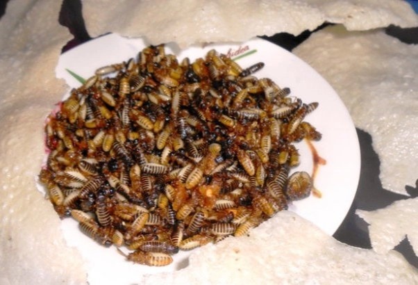 Nhiem nam sau khi an moi, mot nguoi tu vong hinh anh