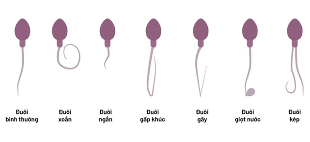 kha nang thu tinh hieu qua nhat anh 1