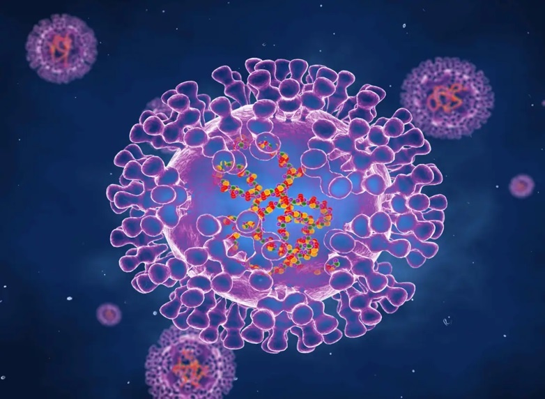 Viet Nam hop khan cap ban phuong an ung pho dich dau mua khi hinh anh