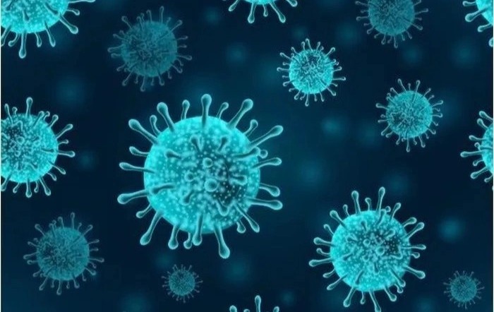 Cach dat ten cum va vai tro du phong cua vaccine hien nay hinh anh