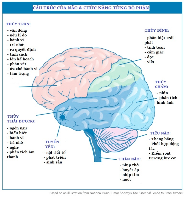 ban khoi u nao anh 3