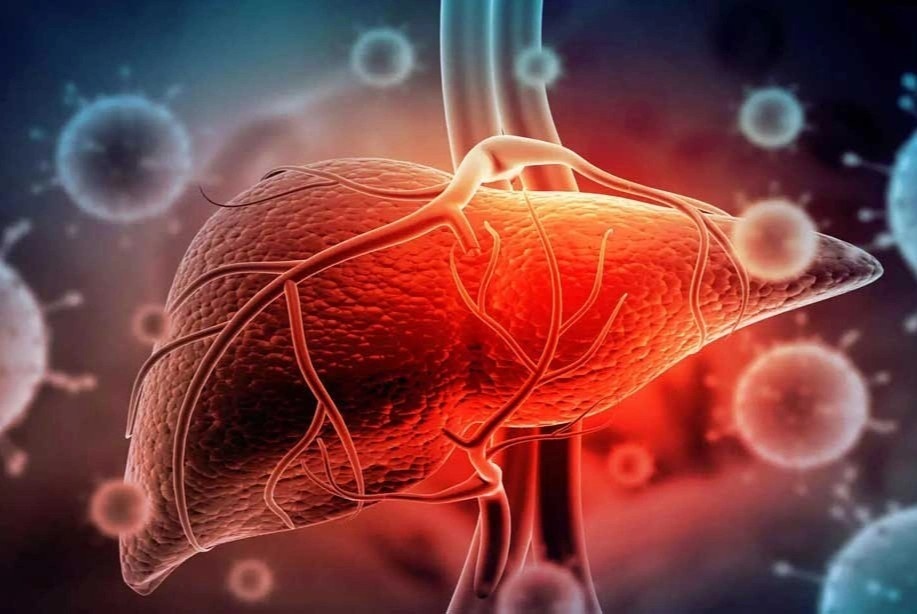 Kha nang chua khoi cua benh viem gan hinh anh