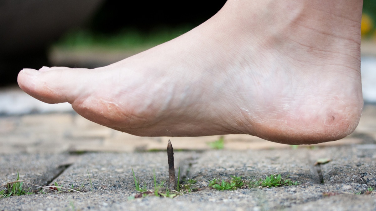 phong ngua bang vaccine anh 1