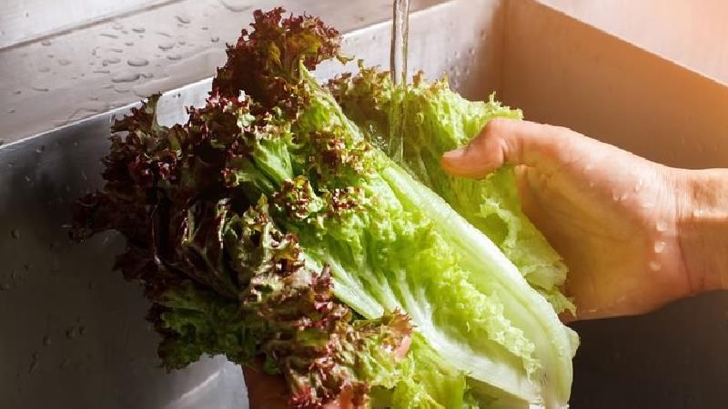 Cach an rau xa lach anh 1