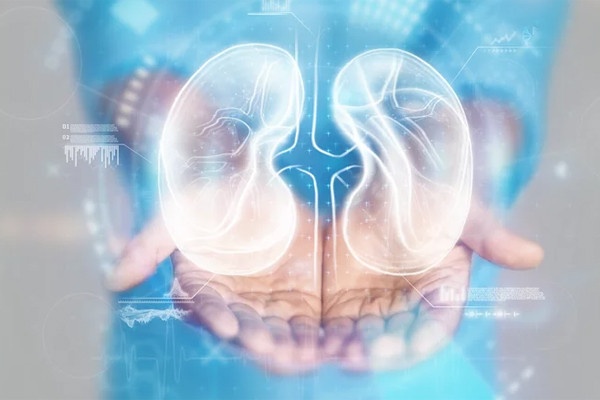 Ly do dan ong thuong bi benh than tan cong manh hon hinh anh