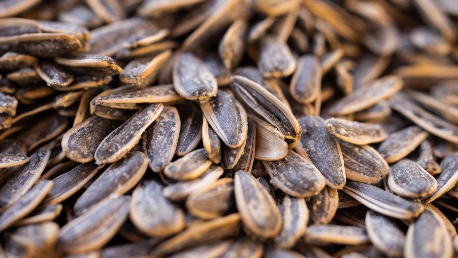 An banh chung moc anh 2