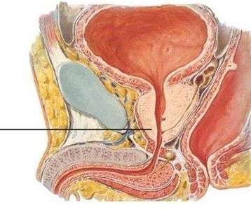 ung thu nam gioi anh 1