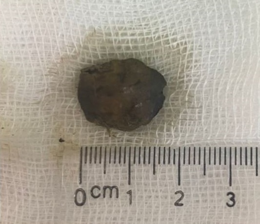 Hoc di vat tri ho anh 1