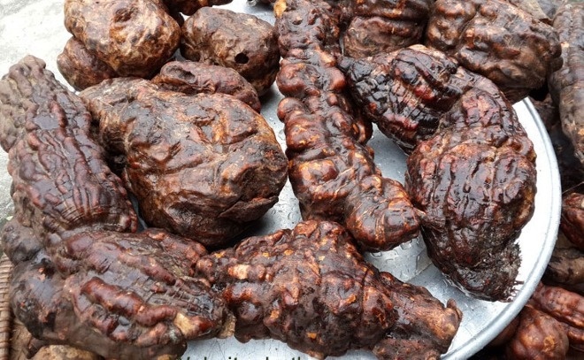 Su that ve uong nuoc ha thu o lam toc den tro lai hinh anh