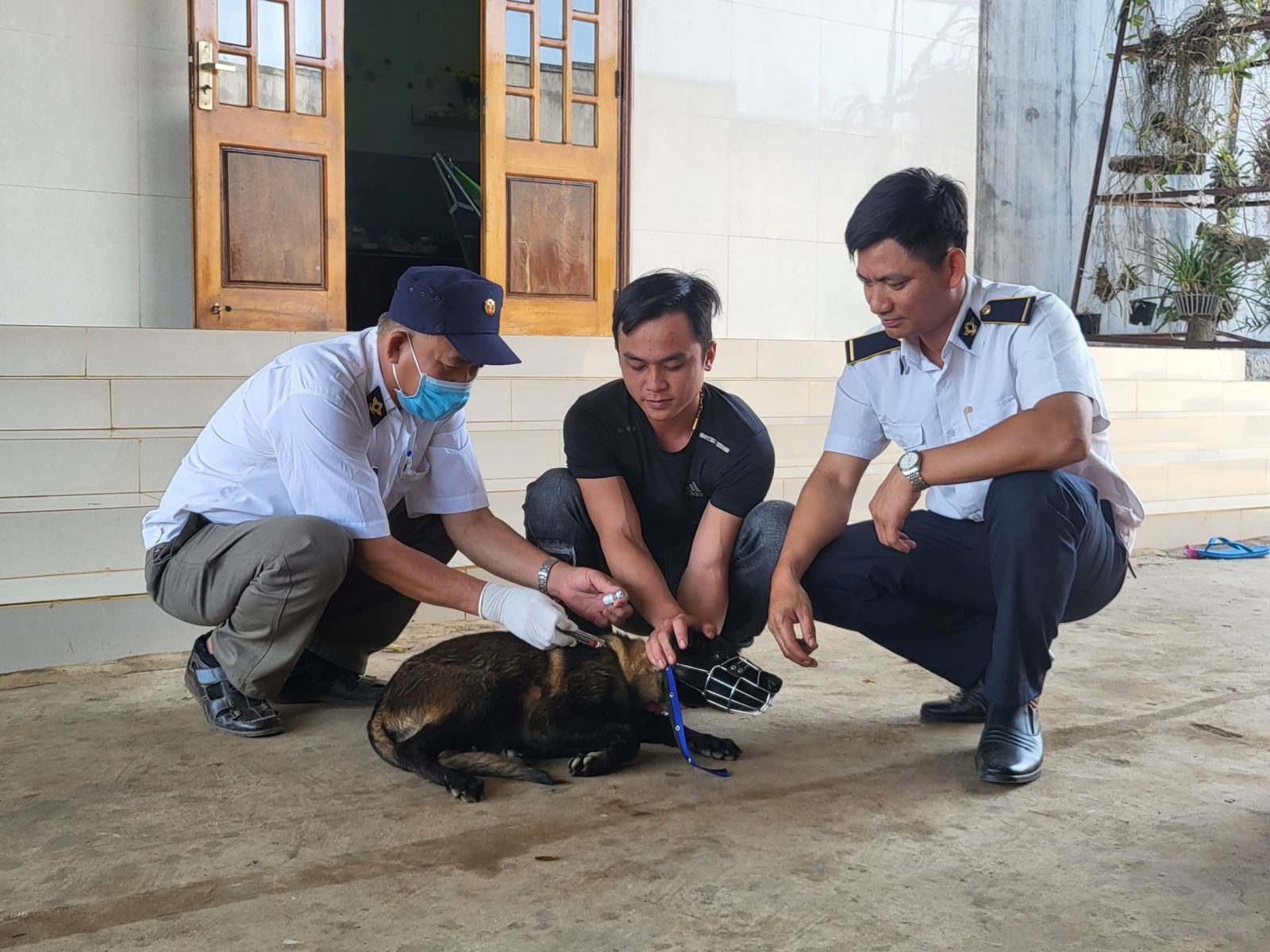 Tu vong do benh dai anh 1