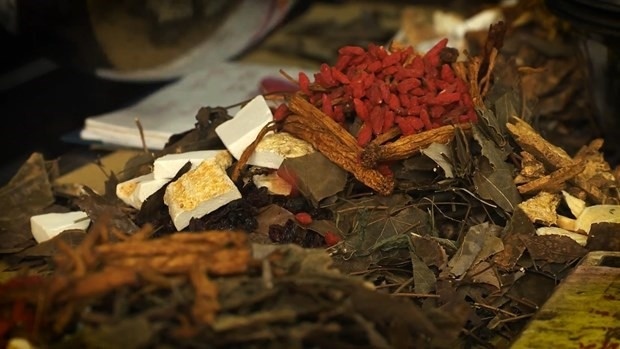 Thung da day vi thu dieu tri ung thu bang thuoc nam hinh anh