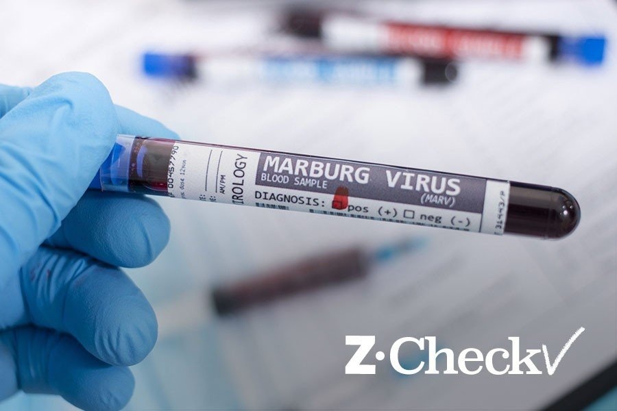 Virus Marburg chua phai la moi de doa voi nguoi Viet hinh anh