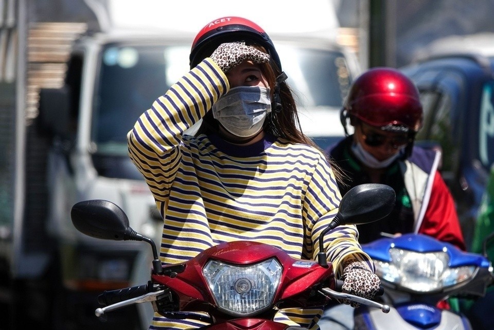 Tia cuc tim o TP.HCM anh 2