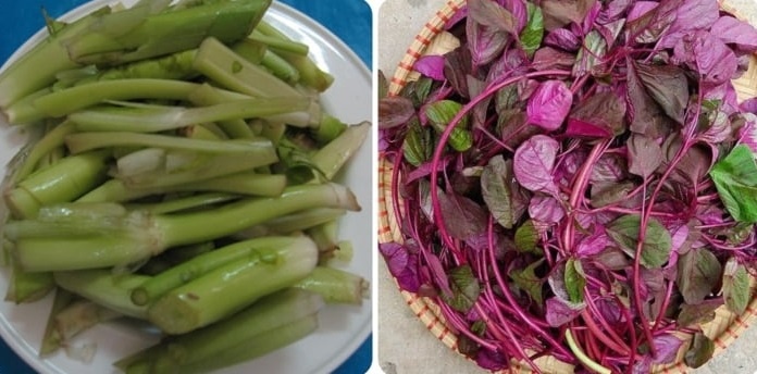 rau giup song lau anh 1