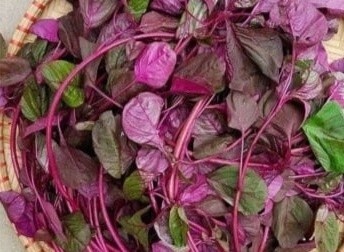 3 loai rau 'giup song lau' moc day o Viet Nam nhung it nguoi biet hinh anh