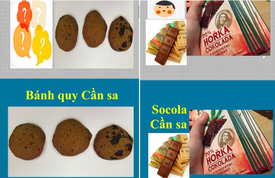 ngo doc ma tuy anh 1