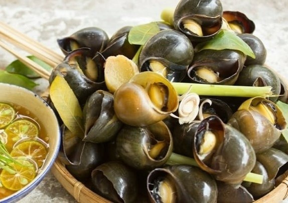 4 nhom nguoi nen han che an oc de tranh anh huong den suc khoe hinh anh