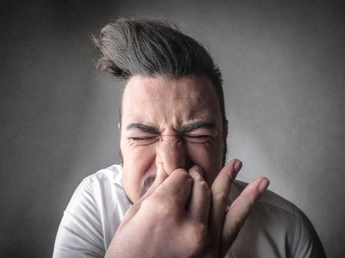 Nhin hat hoi co sao khong? hinh anh