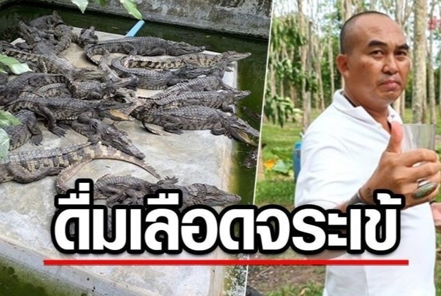 Doanh nhan Thai Lan gay tranh cai vi uong tiet ca sau hang ngay hinh anh