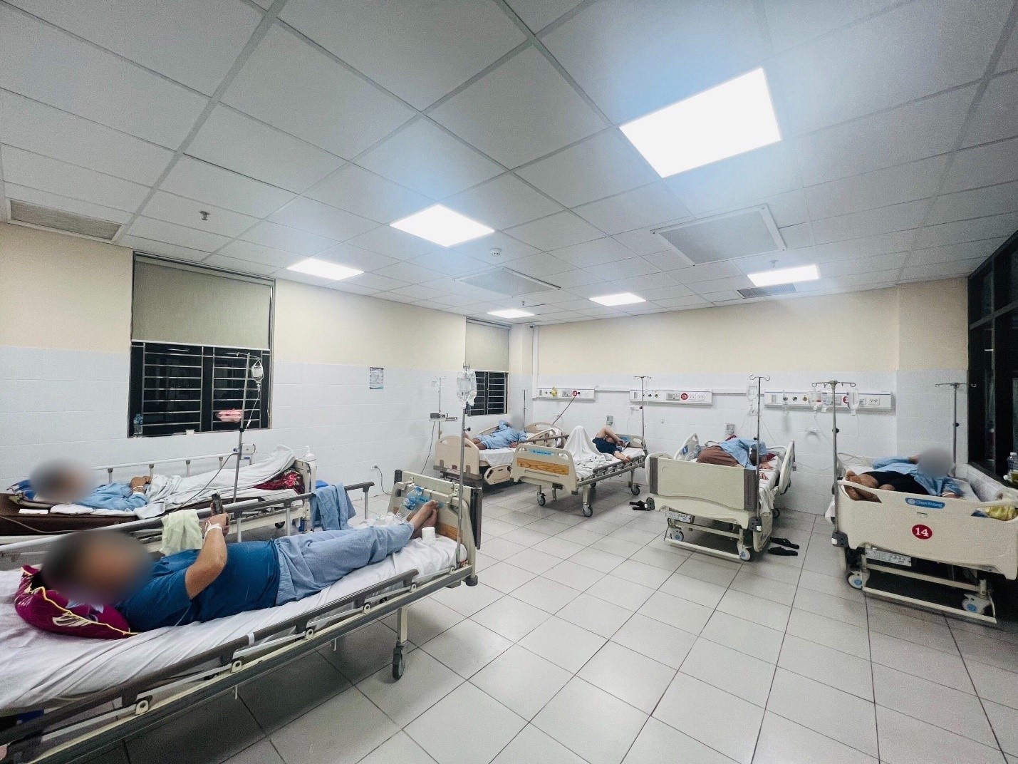 Trứng cá sấu hỏa tiễn ảnh 1 Trung ca sau hoa tien anh 1