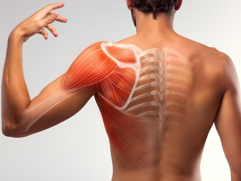 Dong cung khop vai anh 1