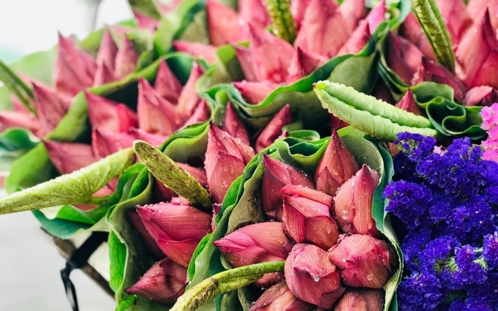 Loai cay quen thuoc o lang que Viet, duoc the gioi dung lam thuoc quy hinh anh