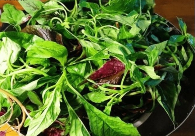 Loai rau 'bo hon thit, re nhu cho' duoc menh danh la than duoc hinh anh