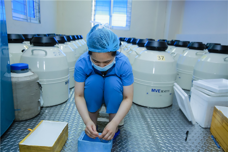 Chi phi tru trung anh 1