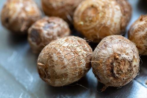 củ khoai sọ ảnh 1 cu khoai so anh 1