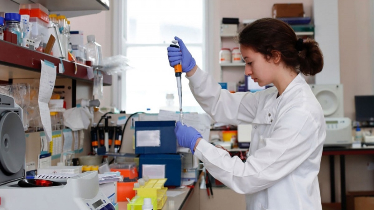 Australia ke don 'thuoc lac' de chua tri cac chung benh tam than hinh anh