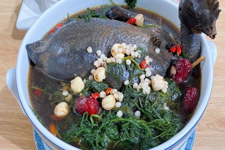 thịt chim bồ câu ảnh 4 thit chim bo cau anh 4