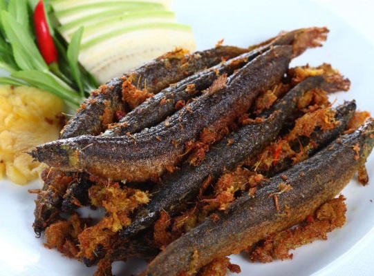 Loai ca duoc vi nhu 'sam nuoc', rat tot cho sinh ly hinh anh