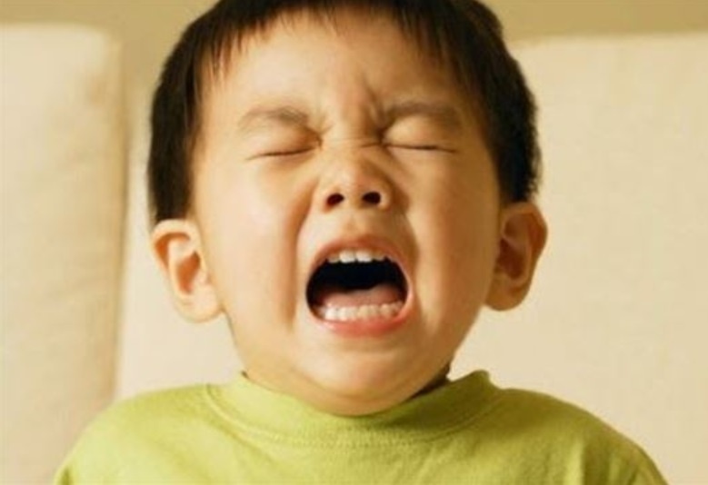 Bo Y te yeu cau xu ly triet de o dich ho ga, soi, thuy dau hinh anh
