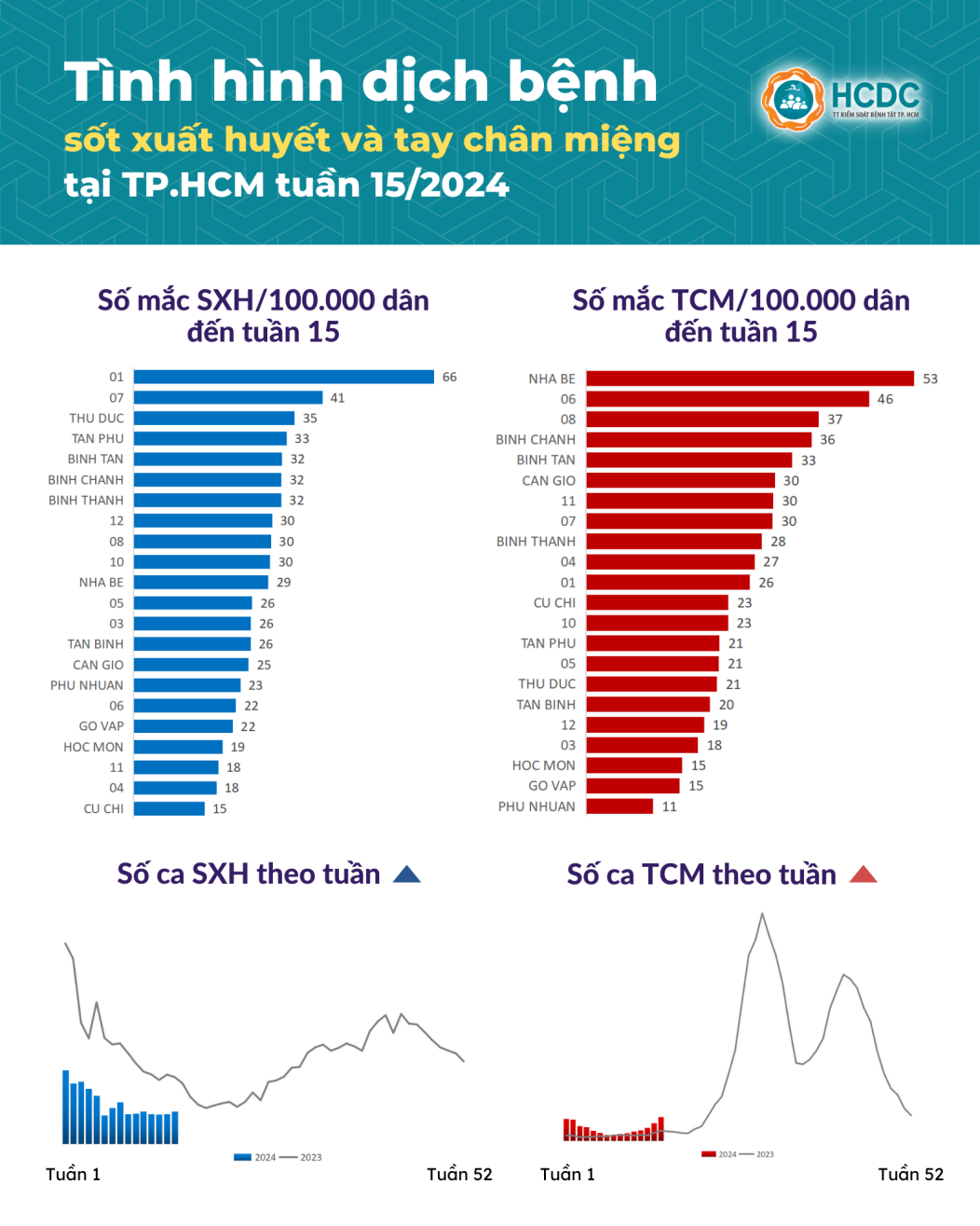 sốt xuất huyết ở TP.HCM ảnh 1 sot xuat huyet o TP.HCM anh 1