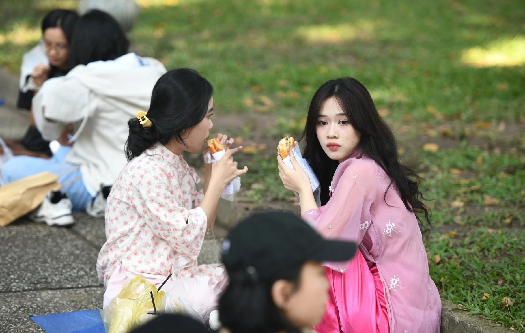 Benh truyen nhiem phuc tap dip le, Bo Y te gui van ban chi dao hinh anh