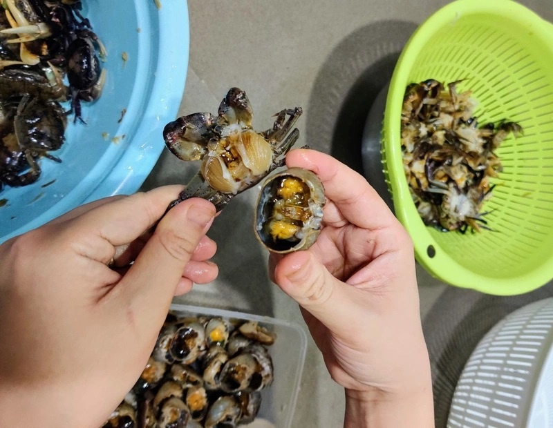 an cua dong anh 2