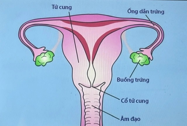 kham vung chau anh 1
