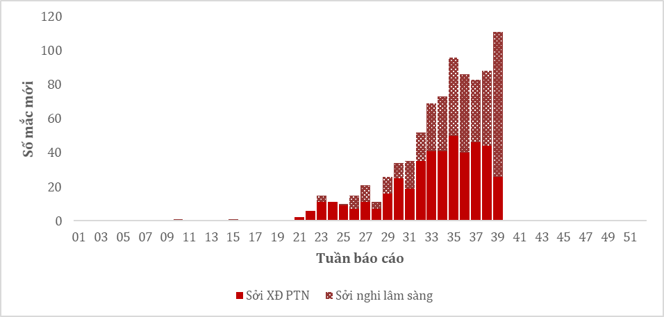 dich soi TP.HCM anh 2