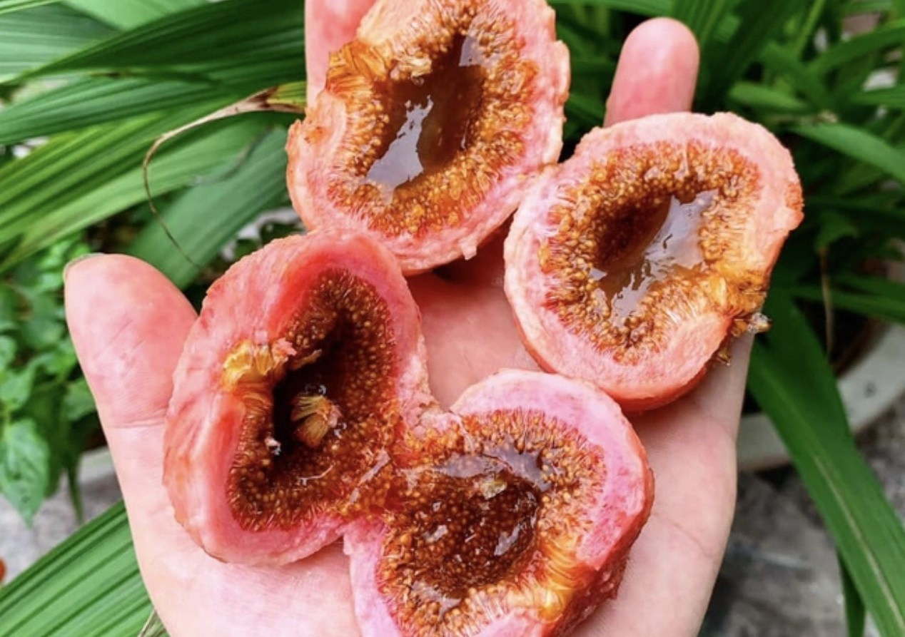 Thoi quen tai hai khi an khien nguoi dan ong di cap cuu hinh anh