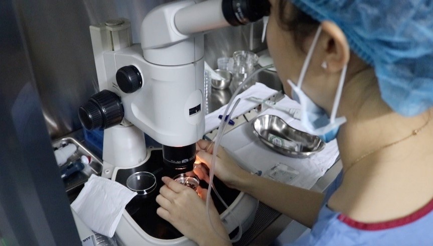 tru dong trung anh 3