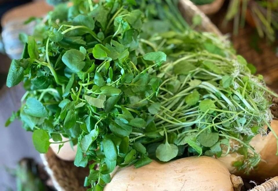 Ly do nen than trong khi an rau song hinh anh