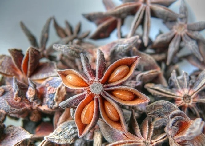 Hoa ra day la ly do hoa hoi duoc coi la 'bau vat troi ban' hinh anh