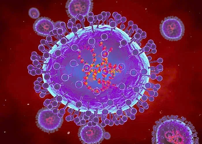 virus gay viem phoi anh 1