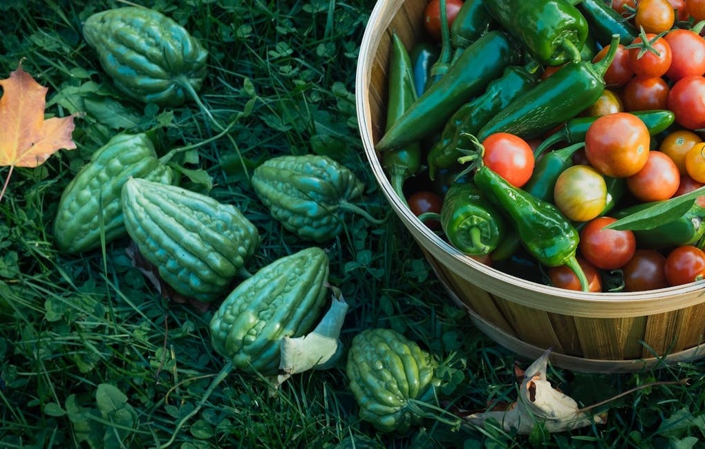 Cach su dung muop dang khi bi benh dai thao duong hinh anh