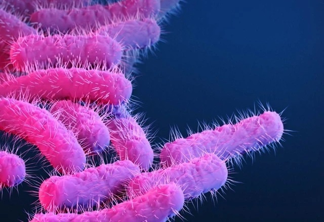 Khong chu quan voi viem am dao do vi khuan hinh anh