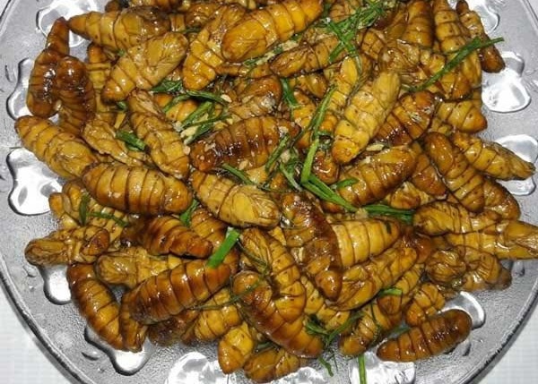 An mon dac san, nguoi dan ong soc phan ve nguy kich hinh anh